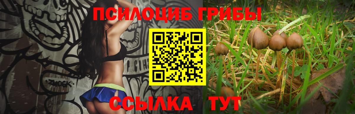 Псилоцибиновые грибы ЛСД  Галлюциногенные грибы Cubensis  Ессентуки  Вход с VPN 