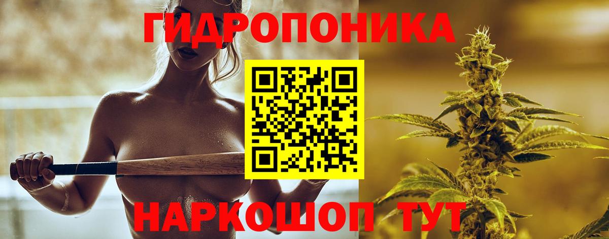Канабис THC 21%  Бошки марихуана план  Ессентуки  Шишки марихуана тримм  Вход с VPN 