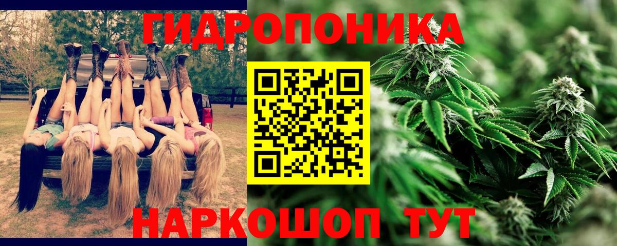 Марихуана THC 21% Ессентуки